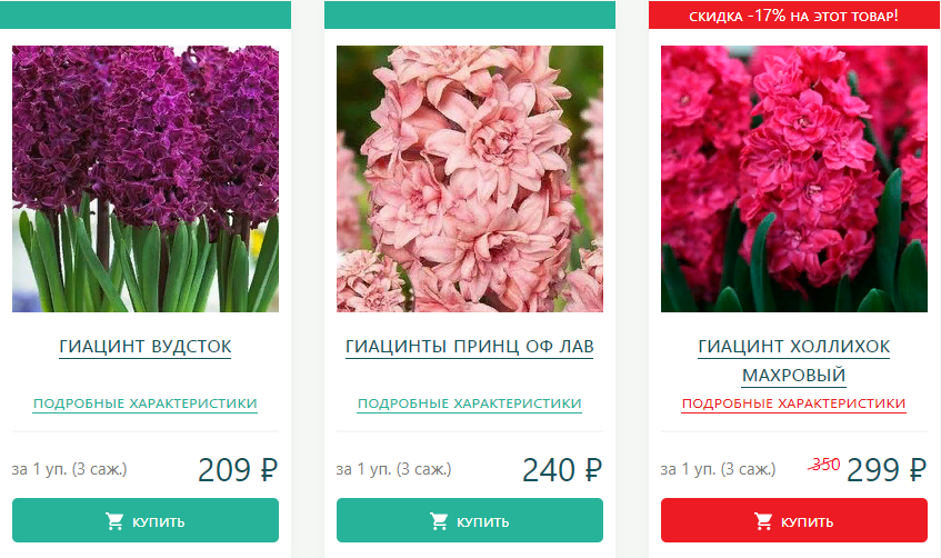 Тройной набор Гиацинт!